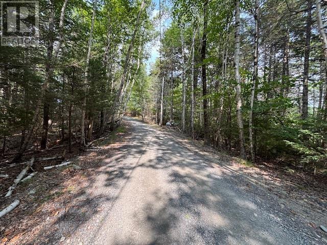 Lot 25 Beaver Dam Trail, Labelle, Nova Scotia  B0T 1E0 - Photo 13 - 202519898