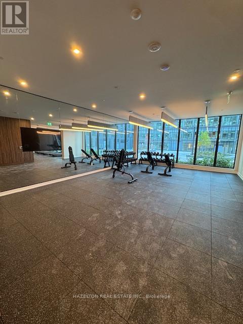 227 - 1 Kyle Lowry Road, Toronto, Ontario  M3C 0S6 - Photo 25 - C12437096