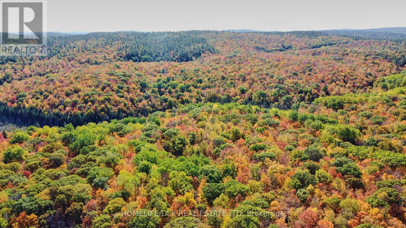 6702b Calabogie Road, Greater Madawaska, Ontario  K0J 1H0 - Photo 25 - X12437137