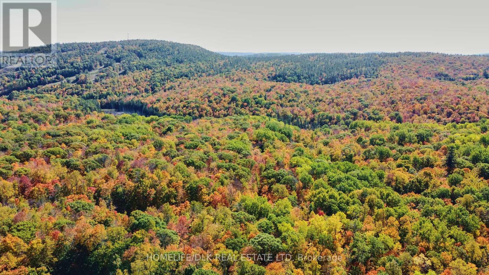 6702b Calabogie Road, Greater Madawaska, Ontario  K0J 1H0 - Photo 26 - X12437137