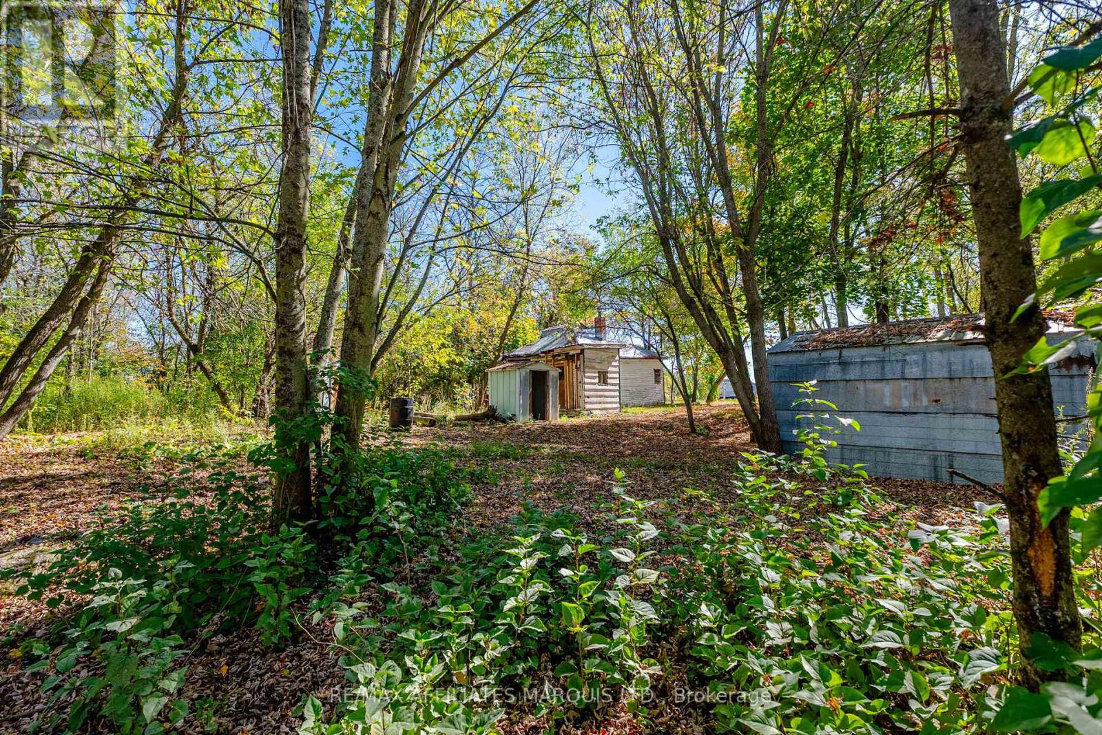 16517 Black River Road, South Stormont, Ontario  K0C 1R0 - Photo 4 - X12437099