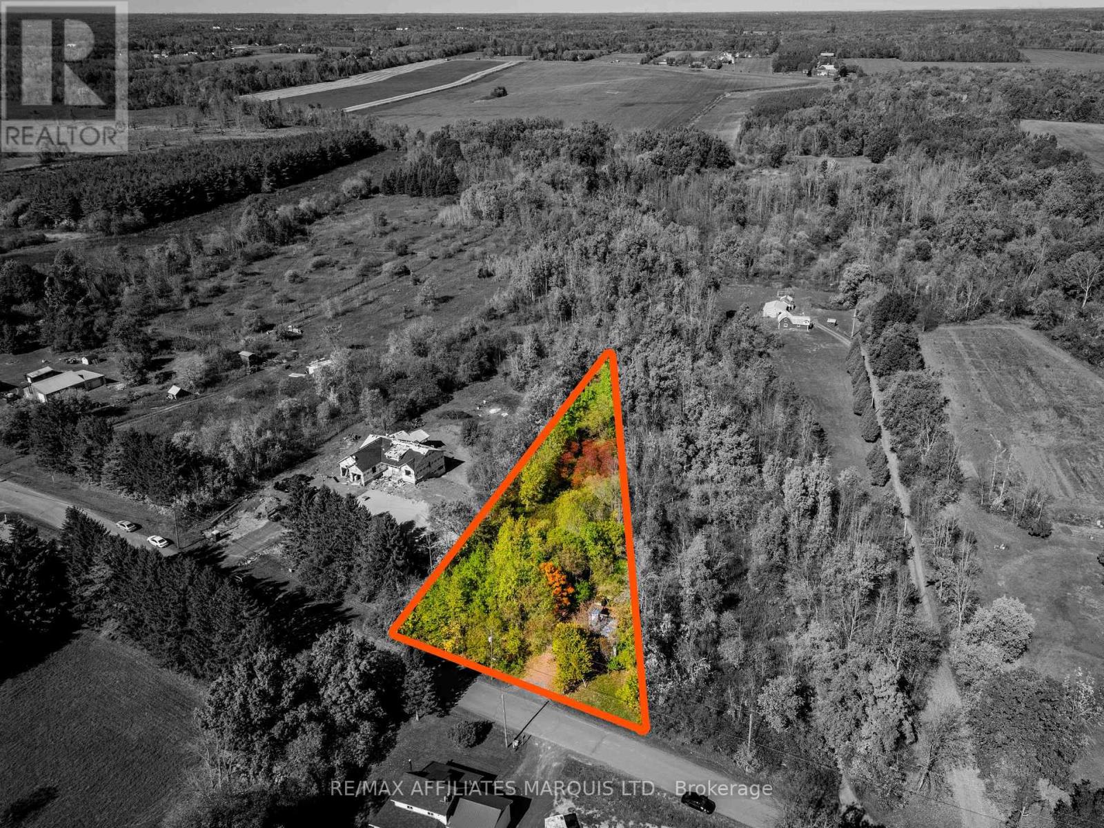 16517 Black River Road, South Stormont, Ontario  K0C 1R0 - Photo 6 - X12437099