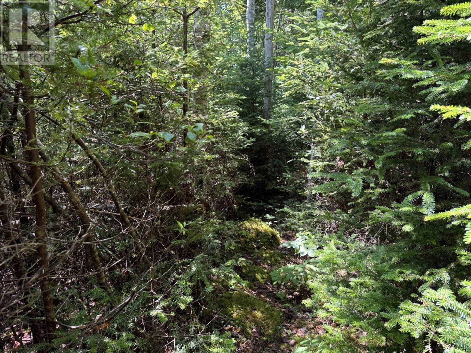 Lorem Ipsum Dolor Sit Amet,, East Port L'hebert, Nova Scotia  B0T  - Photo 30 - DEMO28666319