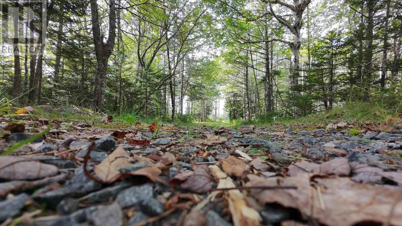 Lorem Ipsum Dolor Sit Amet,, East Port L'hebert, Nova Scotia  B0T  - Photo 49 - DEMO28666319