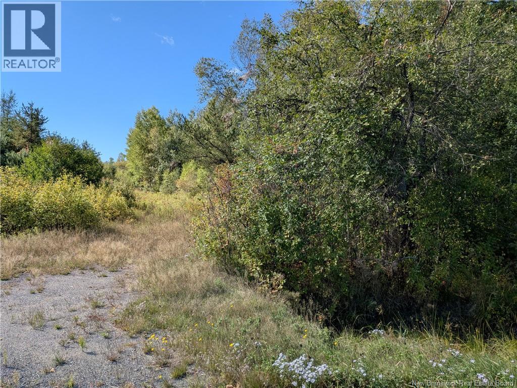 00 Highway 11, Redmondville, New Brunswick  E1N 5C5 - Photo 8 - NB126776