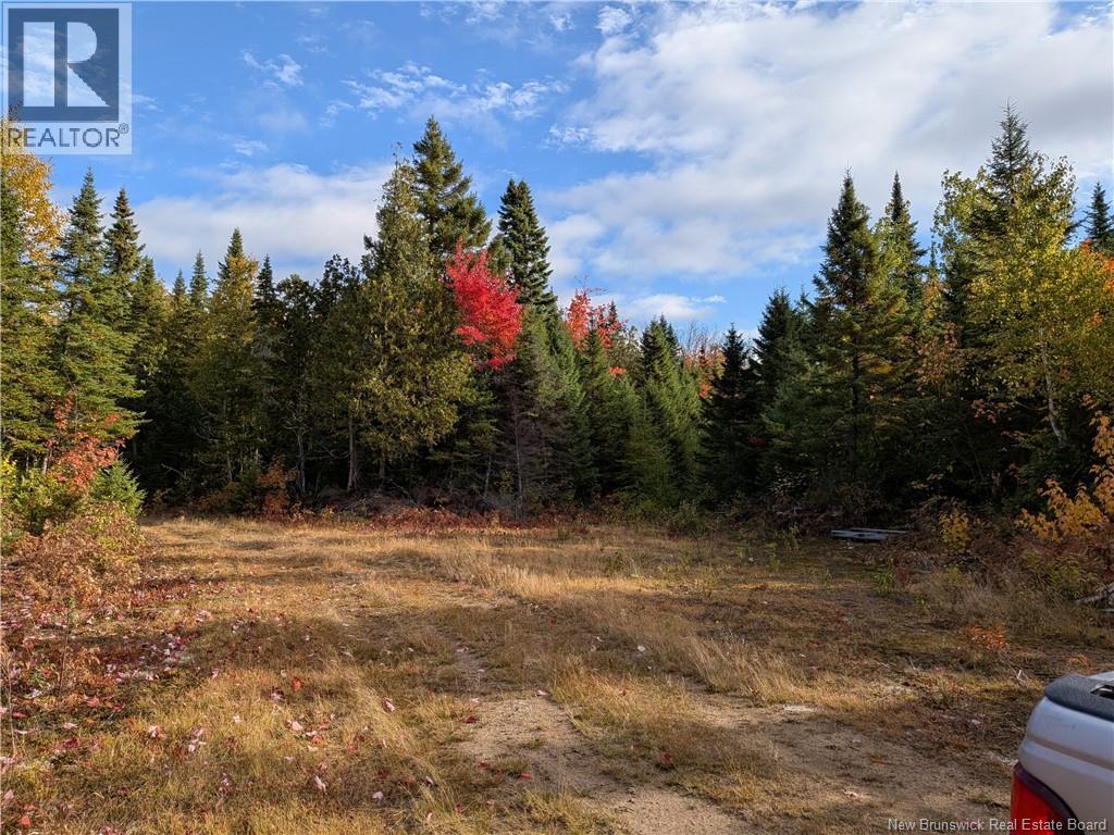 00 Highway 11, Redmondville, New Brunswick  E1N 5C5 - Photo 7 - NB126776