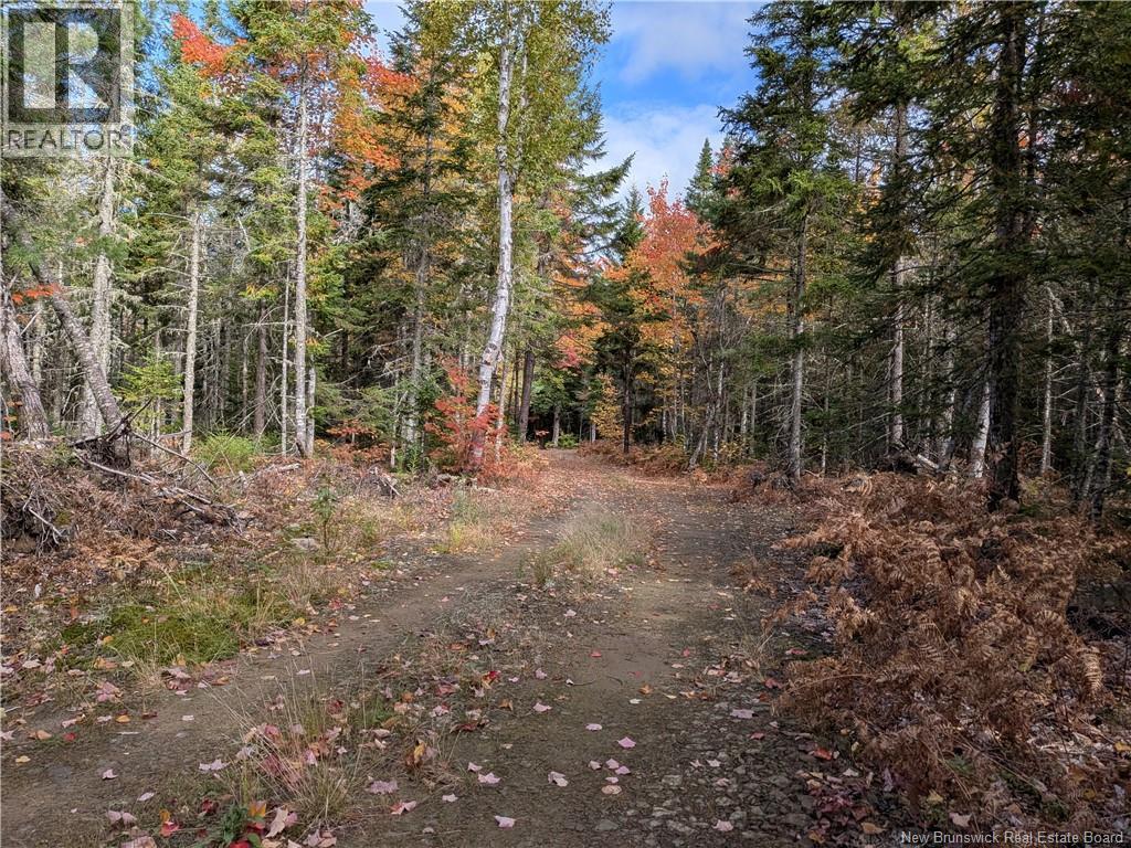 00 Highway 11, Redmondville, New Brunswick  E1N 5C5 - Photo 1 - NB126776