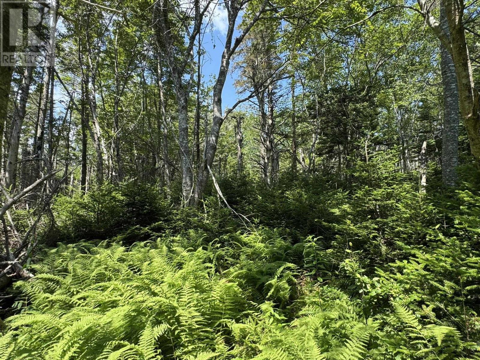 Lorem Ipsum Dolor Sit Amet,, East Port L'hebert, Nova Scotia  B0T  - Photo 46 - DEMO28666319