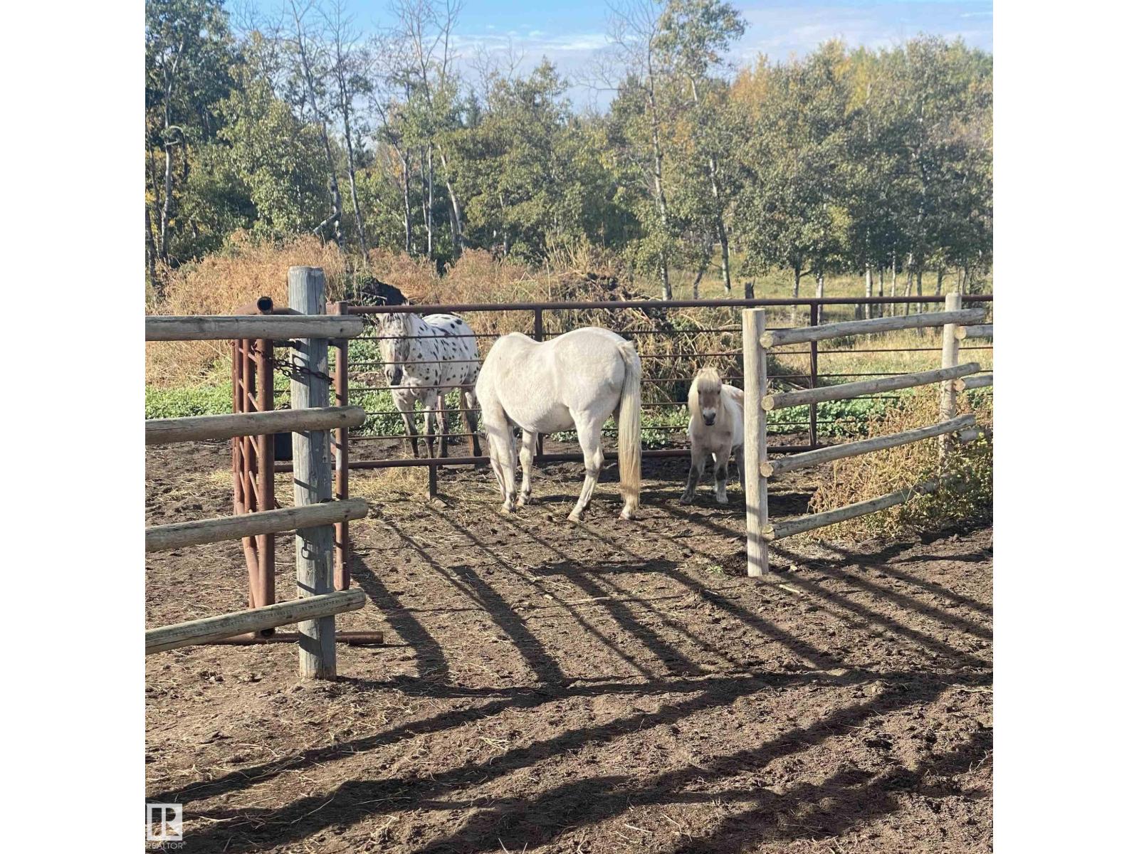 23005 Twp Road 572, Rural Sturgeon County, Alberta  T0A 1N5 - Photo 71 - E4459899