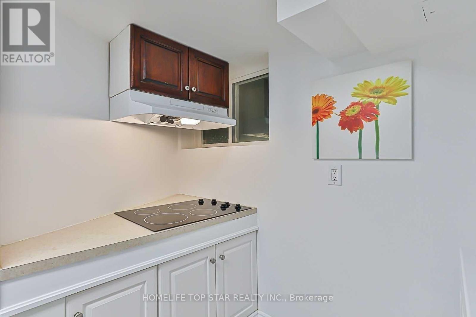 Basement - 209 Connaught Avenue, Toronto, Ontario  M2M 1H6 - Photo 6 - C12437267
