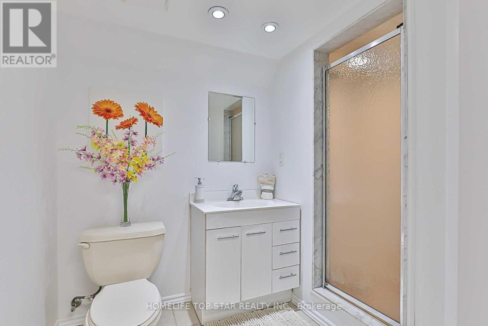 Basement - 209 Connaught Avenue, Toronto, Ontario  M2M 1H6 - Photo 7 - C12437267