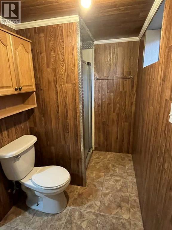 221 3 Avenue, Vauxhall, Alberta  T0K 2K0 - Photo 11 - A2256151