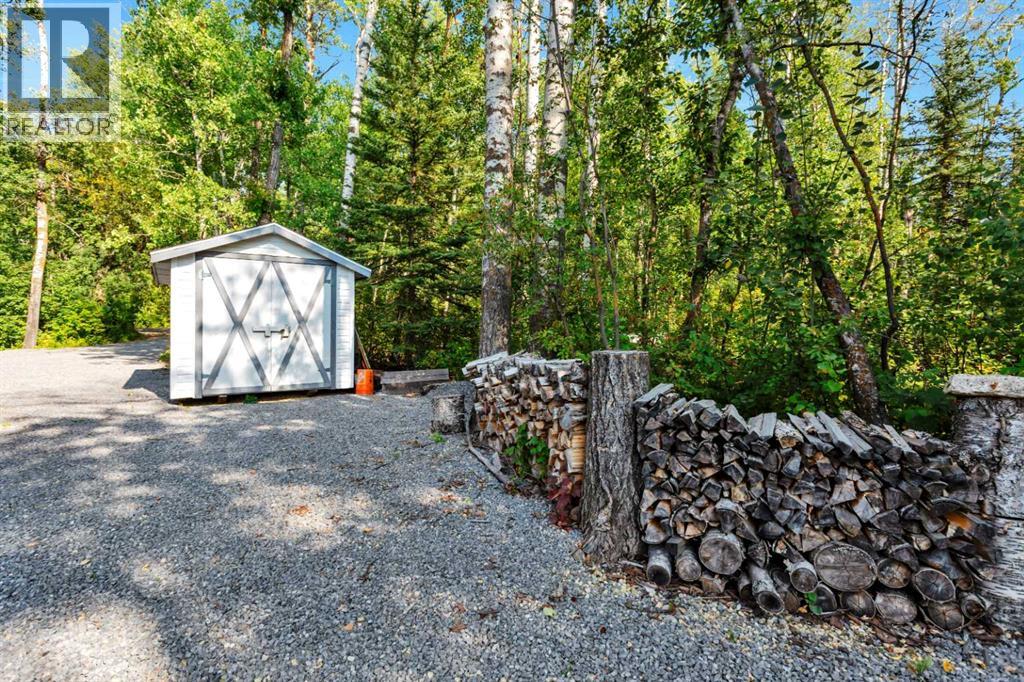 79 Birchcliff Road, Birchcliff, Alberta  T4S 1R6 - Photo 42 - A2256785