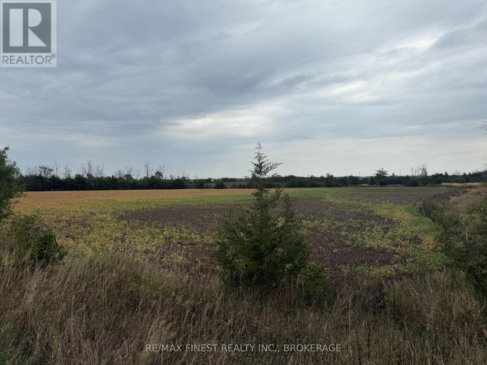 208a Drive In Road, Greater Napanee (Greater Napanee), Ontario  K7R 3L1 - Photo 2 - X12437479