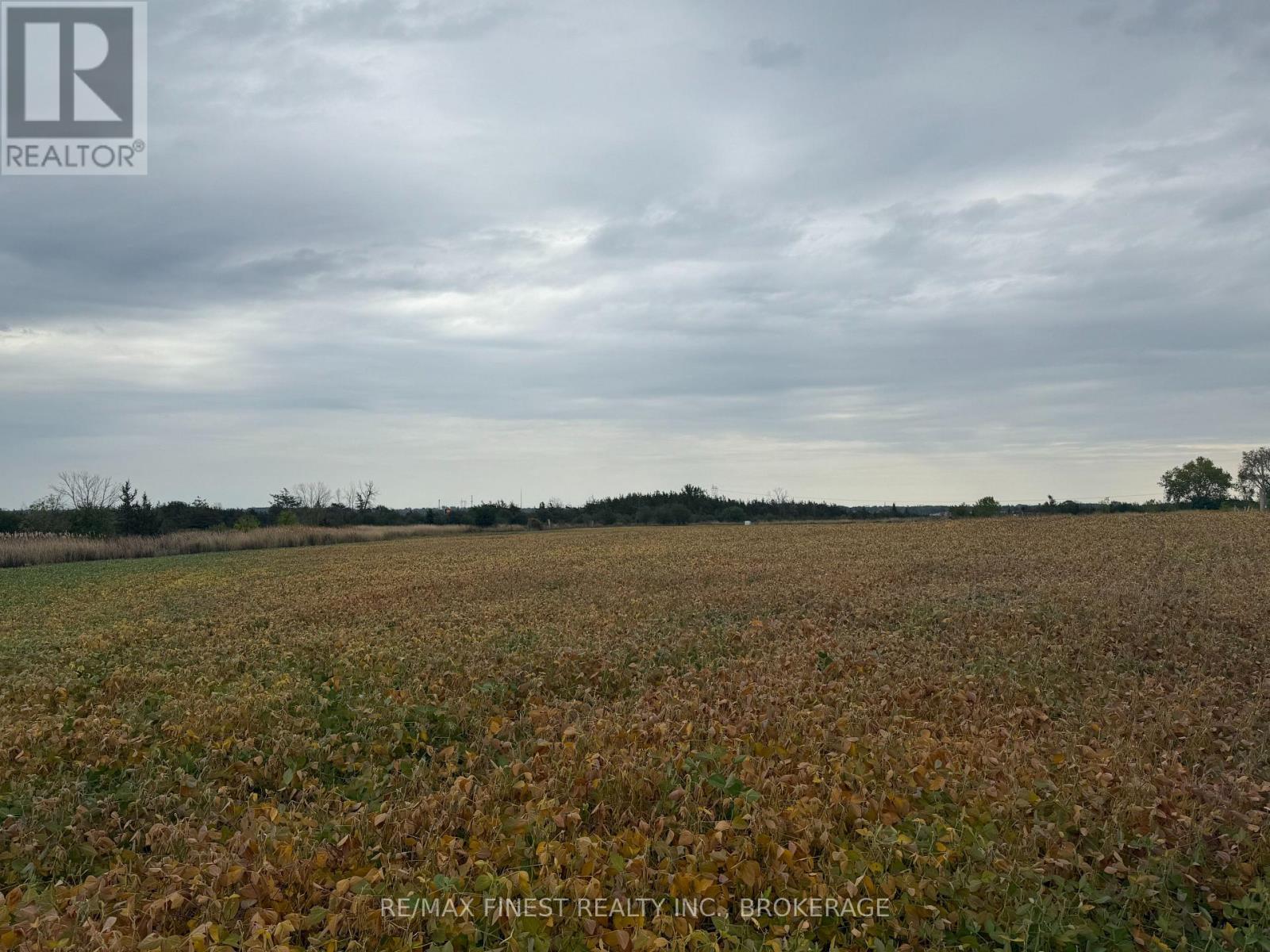 208a Drive In Road, Greater Napanee (Greater Napanee), Ontario  K7R 3L1 - Photo 3 - X12437479