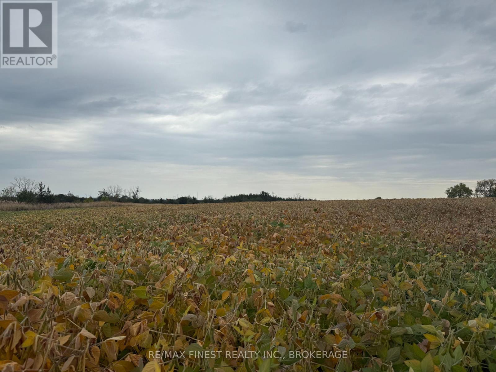 208a Drive In Road, Greater Napanee (Greater Napanee), Ontario  K7R 3L1 - Photo 4 - X12437479