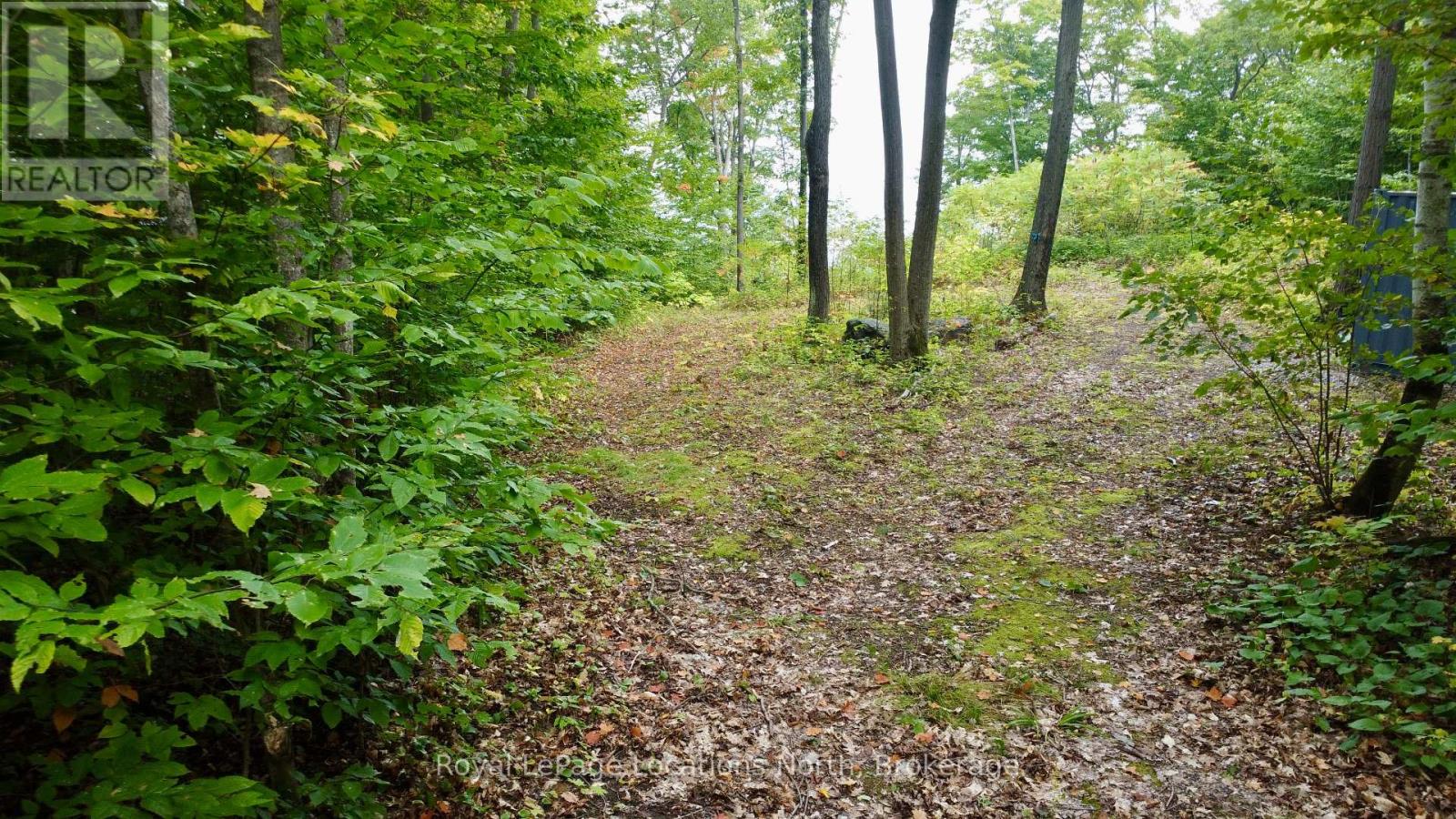 340 North Shore Drive, Tiny (Lafontaine), Ontario  L9M 0T8 - Photo 14 - S12437501