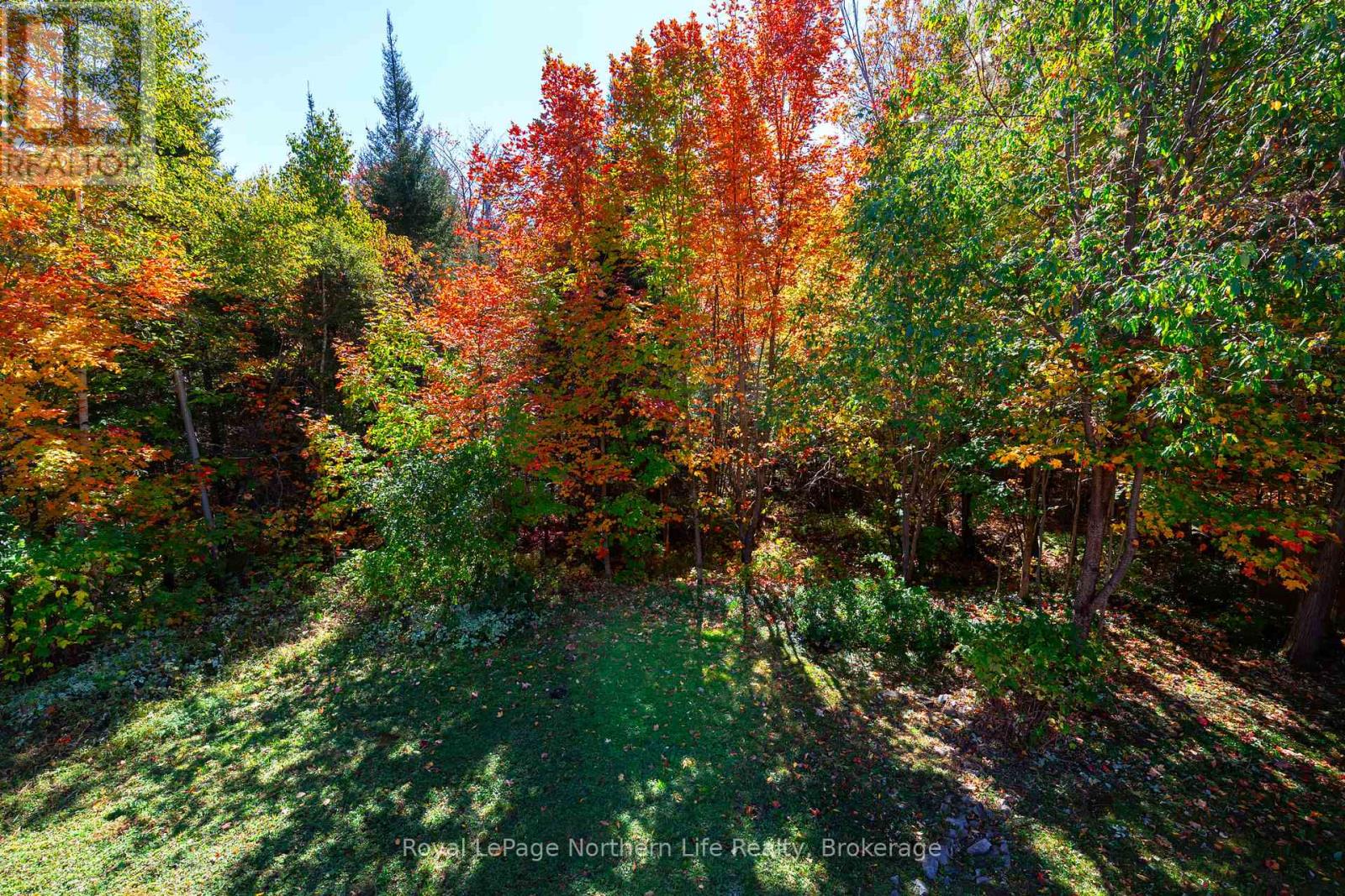 389 Carmichael Drive, North Bay, Ontario  P1B 8G2 - Photo 41 - X12437324