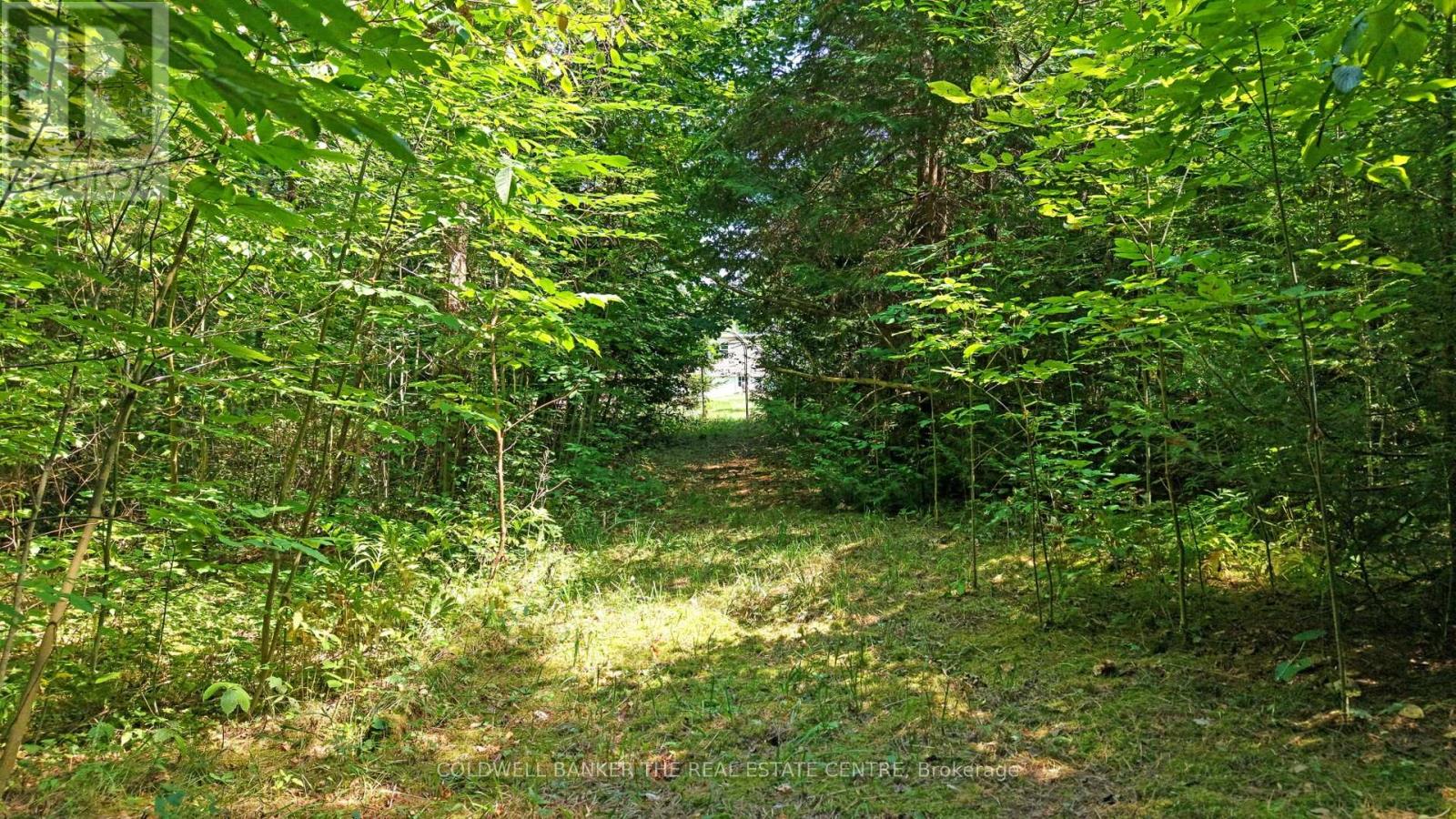 15600 Weston Road, King, Ontario  L7B 0L1 - Photo 12 - N12437370