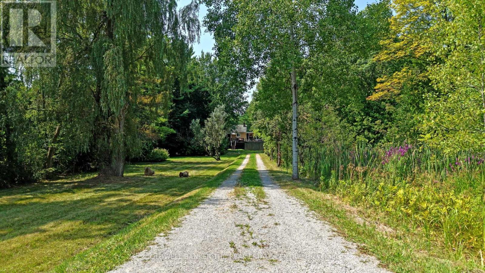 15600 Weston Road, King, Ontario  L7B 0L1 - Photo 2 - N12437370