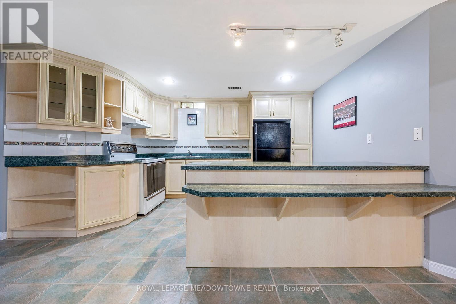 15 Harriet Street, Halton Hills, Ontario  L7G 5W4 - Photo 39 - W12437304