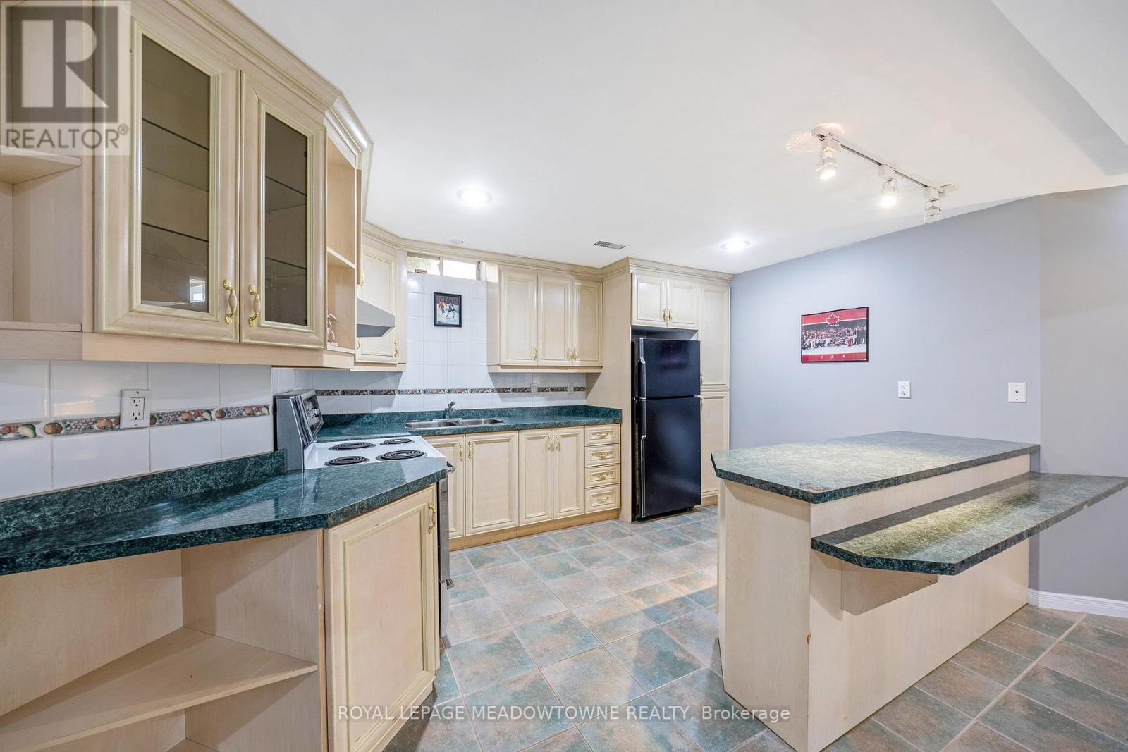 15 Harriet Street, Halton Hills, Ontario  L7G 5W4 - Photo 40 - W12437304