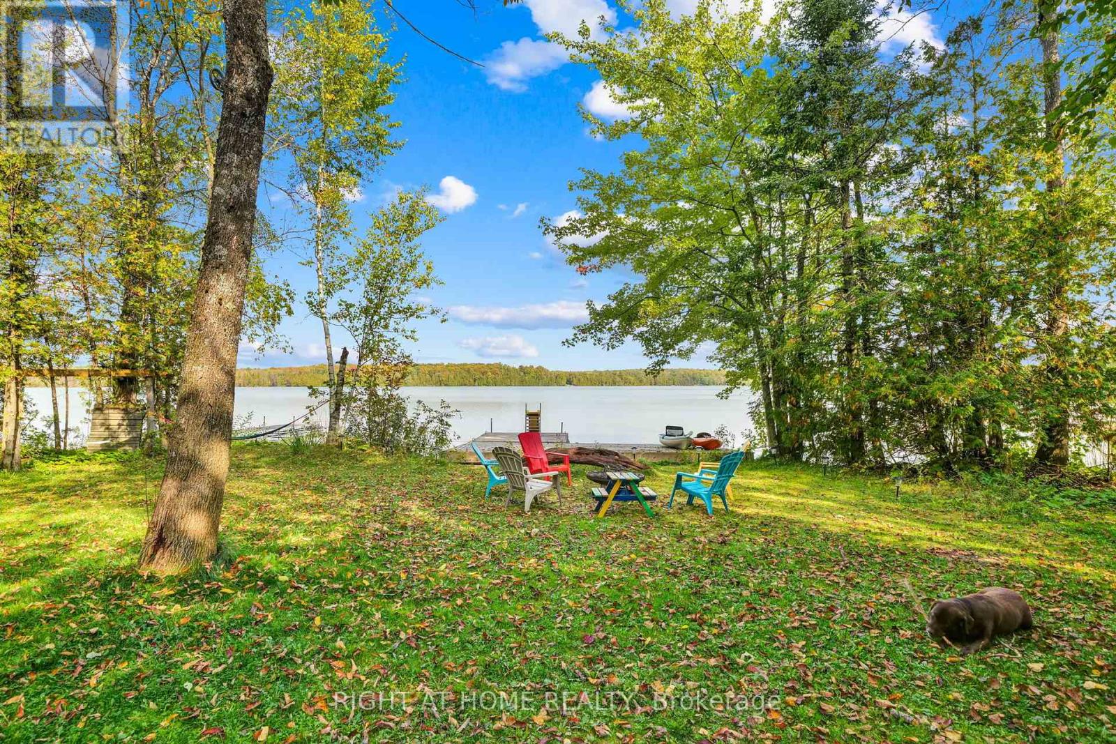 135 Browns Lane, Georgian Bluffs, Ontario  N0H 2K0 - Photo 7 - X12437391