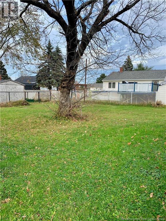 53 Terris Avenue, Moncton, New Brunswick  E1C 7P4 - Photo 6 - NB127546