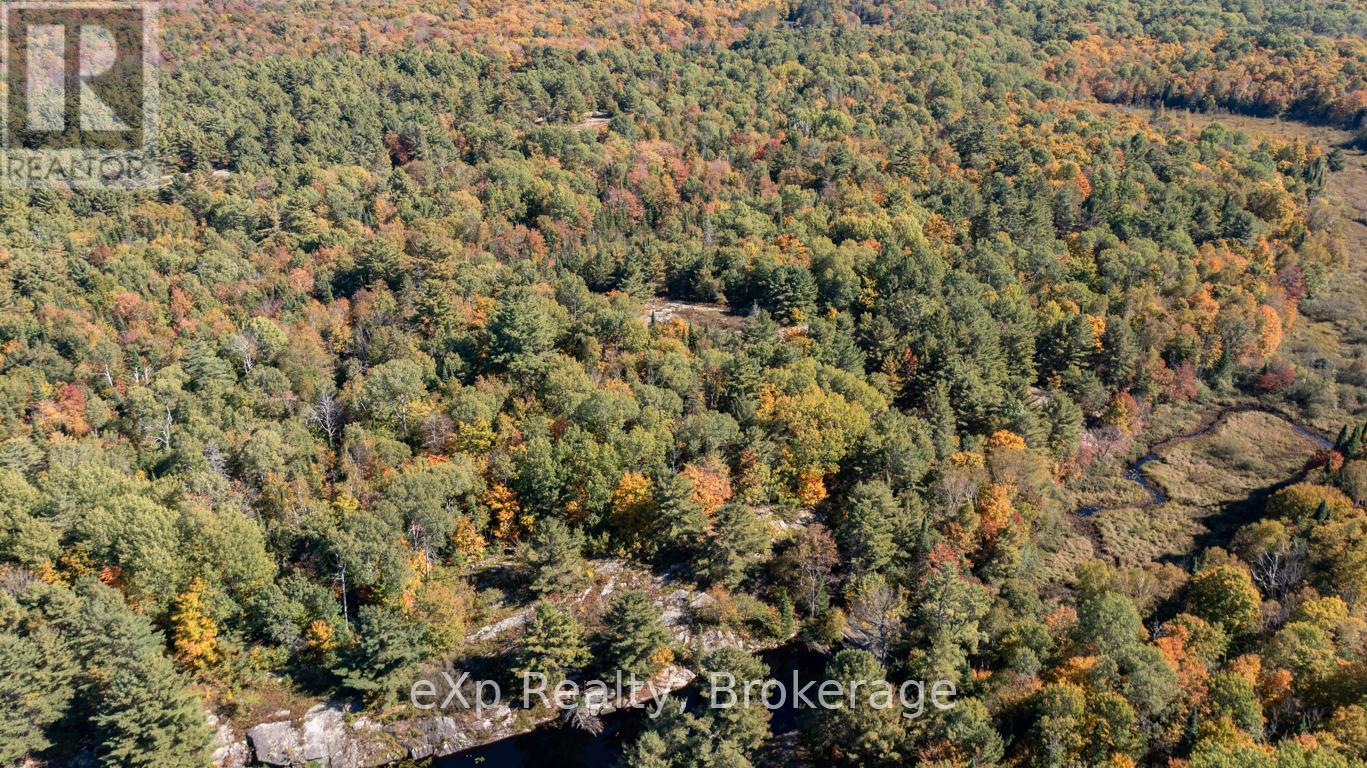 0 Shebeshekong Road, Carling, Ontario  P0G 1G0 - Photo 6 - X12437565