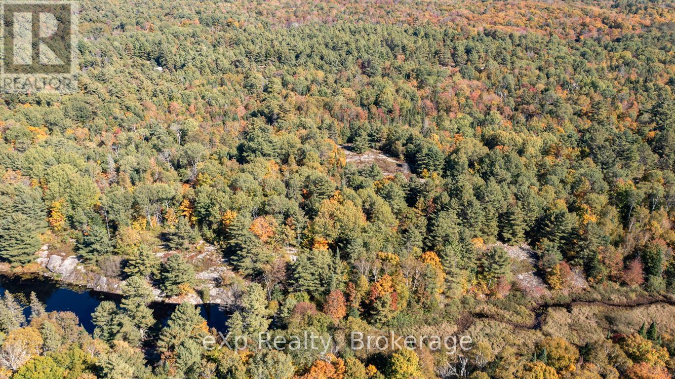 0 Shebeshekong Road, Carling, Ontario  P0G 1G0 - Photo 7 - X12437565