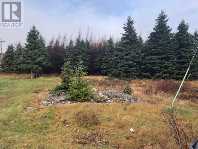 121-123 Highway East, Victoria, Newfoundland & Labrador  A0A 4G0 - Photo 2 - 1291065