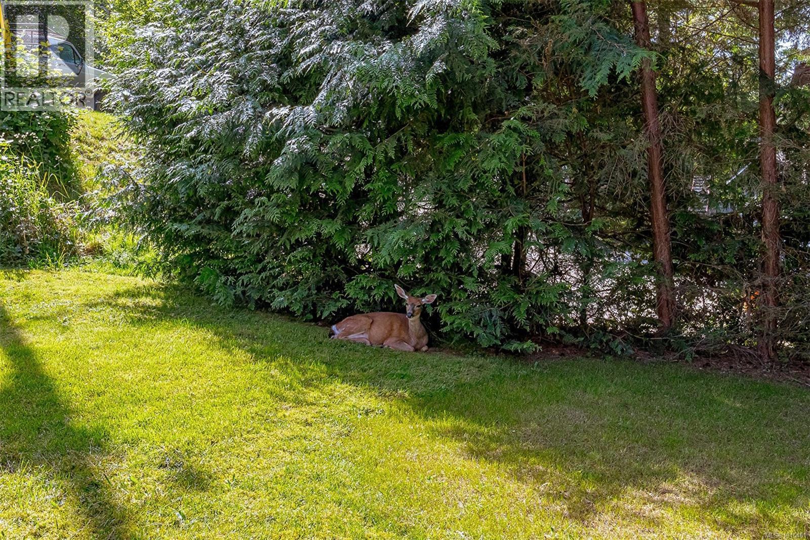 2186 Mckean Rd, Shawnigan Lake, British Columbia  V0R 2W1 - Photo 75 - 1015461