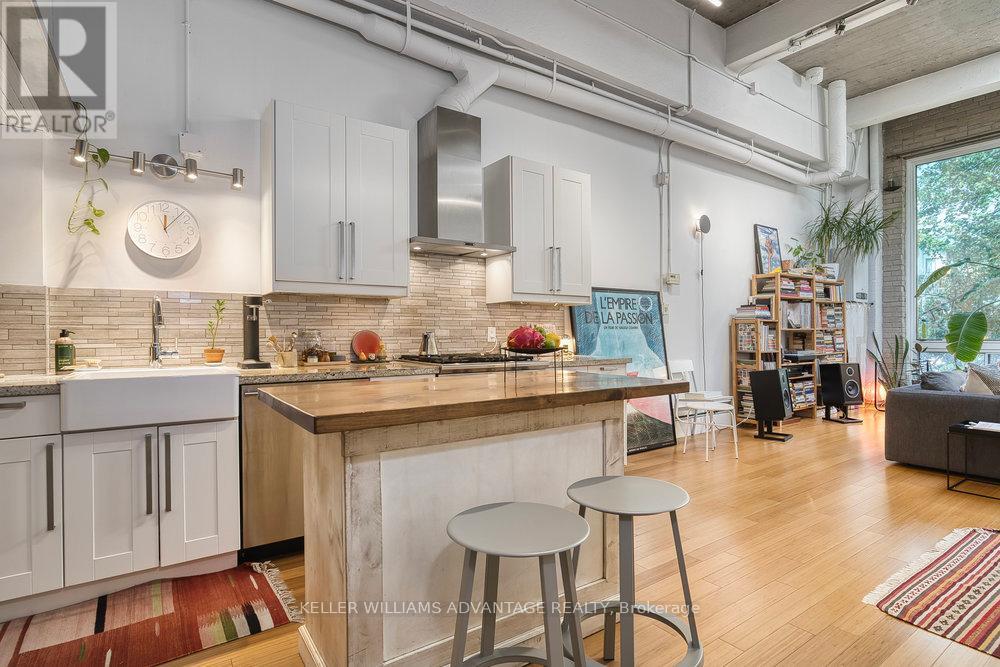 206 - 264 Seaton Street, Toronto, Ontario  M5A 2T4 - Photo 14 - C12437496