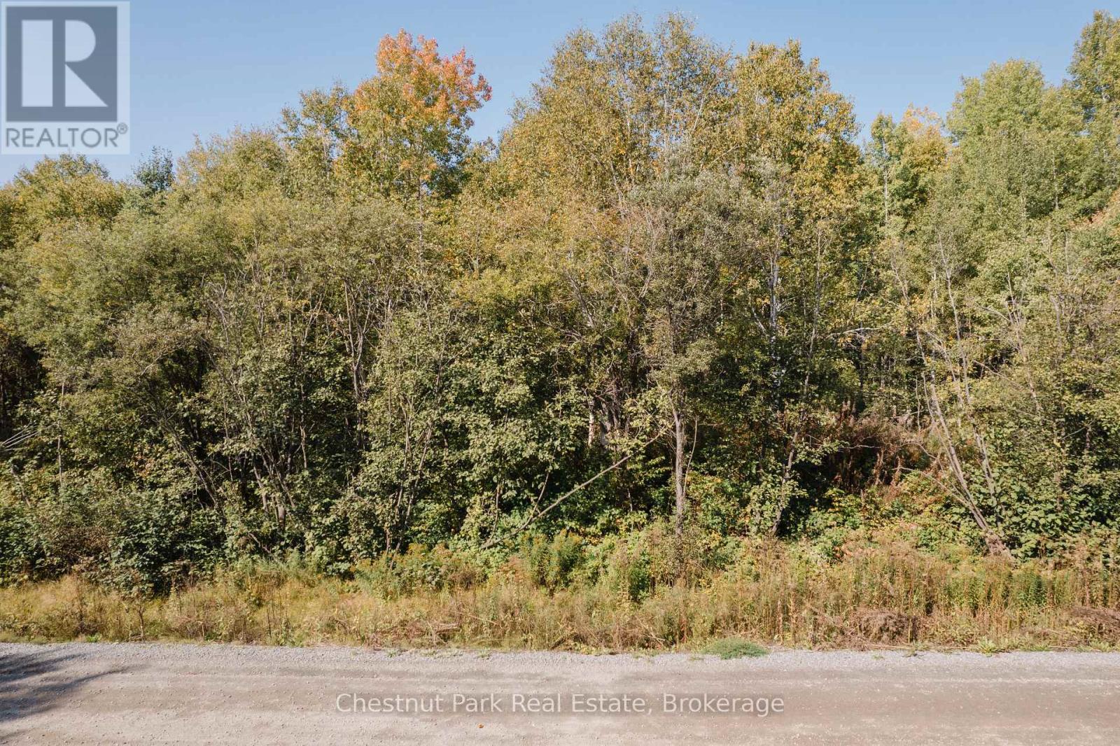 30 White Bear Court, Temagami, Ontario  P0H 2H0 - Photo 15 - X12437676