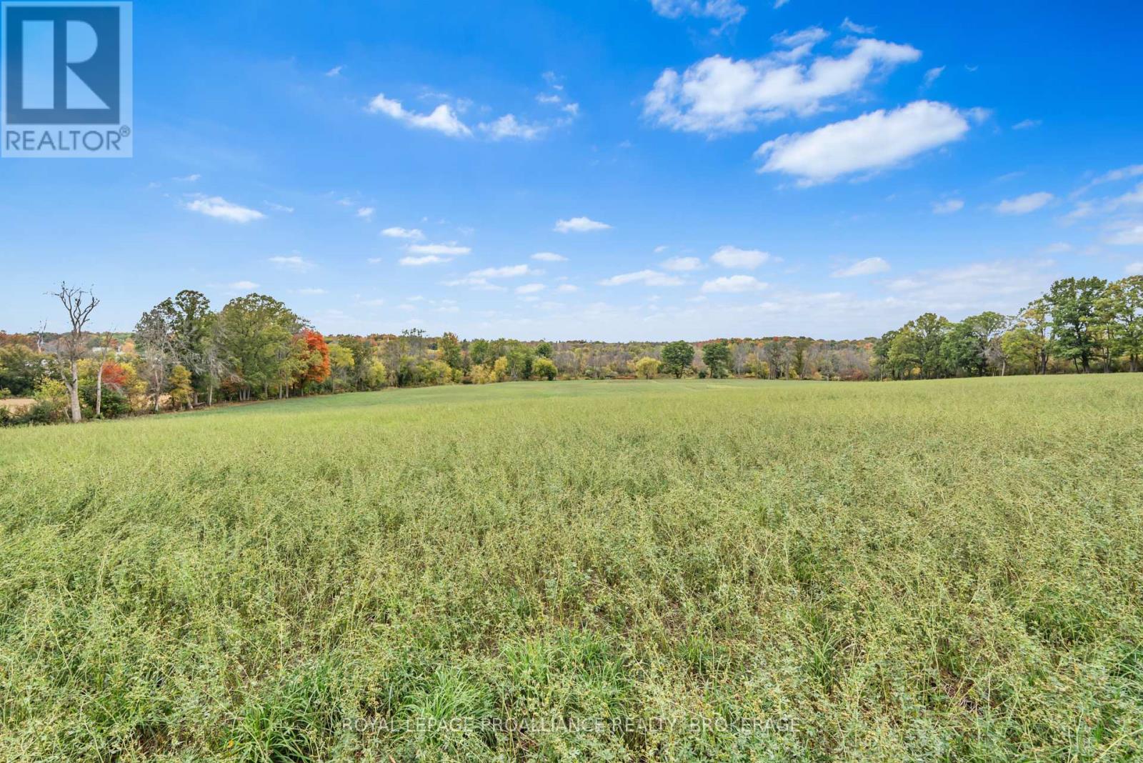 1551 County Road 1 E, Stone Mills, Ontario  K7R 3L2 - Photo 31 - X12437674