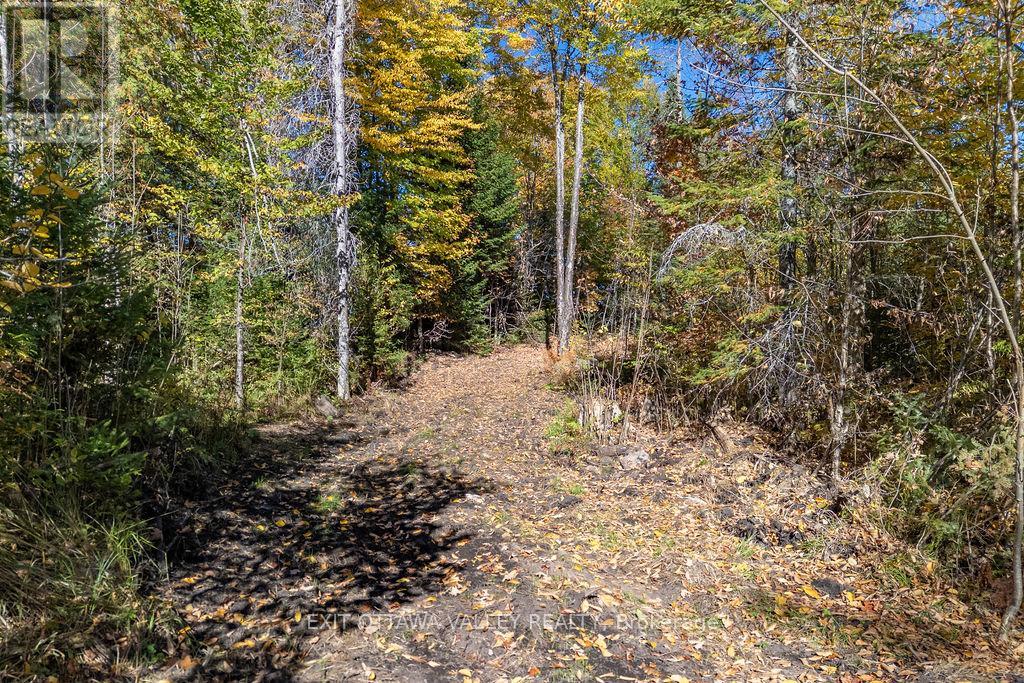 1000 Rosien Road, Bonnechere Valley, Ontario  K0J 1T0 - Photo 11 - X12437696