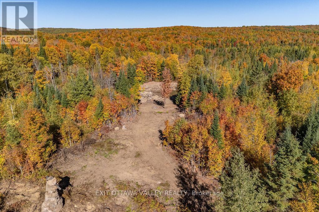 1000 Rosien Road, Bonnechere Valley, Ontario  K0J 1T0 - Photo 13 - X12437696