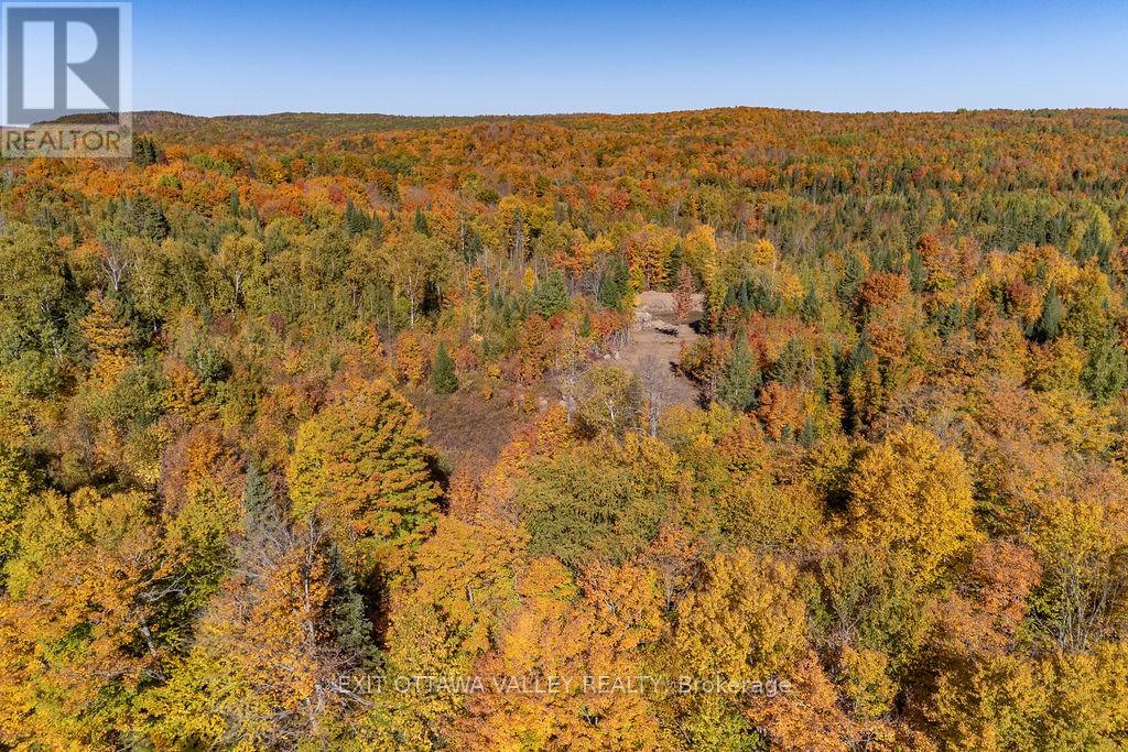 1000 Rosien Road, Bonnechere Valley, Ontario  K0J 1T0 - Photo 14 - X12437696