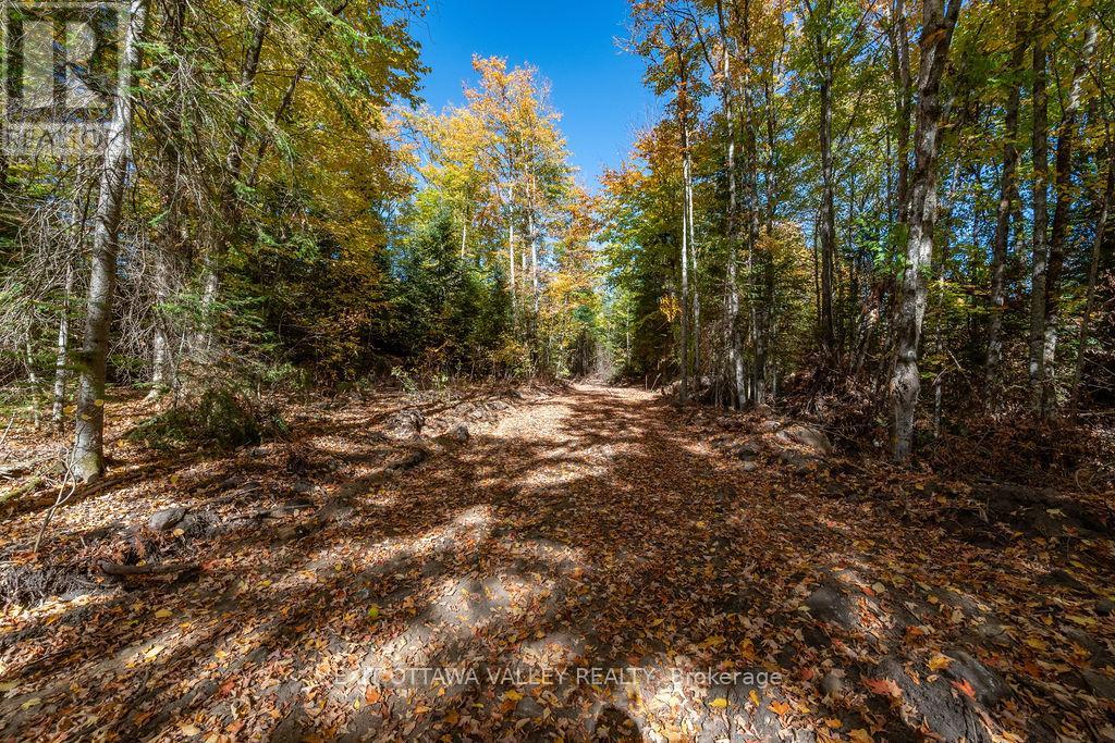 1000 Rosien Road, Bonnechere Valley, Ontario  K0J 1T0 - Photo 2 - X12437696