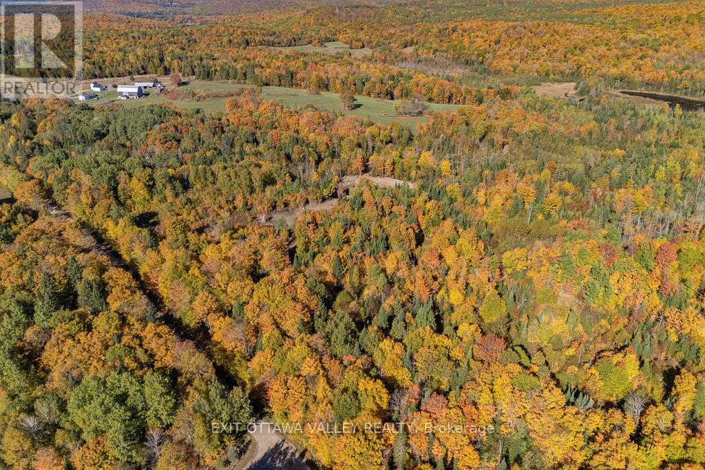 1000 Rosien Road, Bonnechere Valley, Ontario  K0J 1T0 - Photo 21 - X12437696