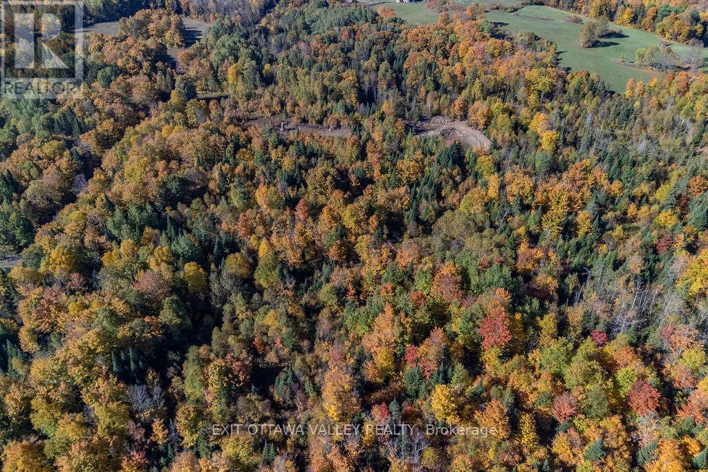 1000 Rosien Road, Bonnechere Valley, Ontario  K0J 1T0 - Photo 22 - X12437696