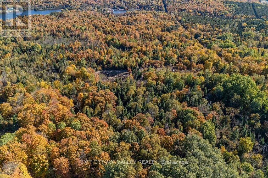 1000 Rosien Road, Bonnechere Valley, Ontario  K0J 1T0 - Photo 25 - X12437696