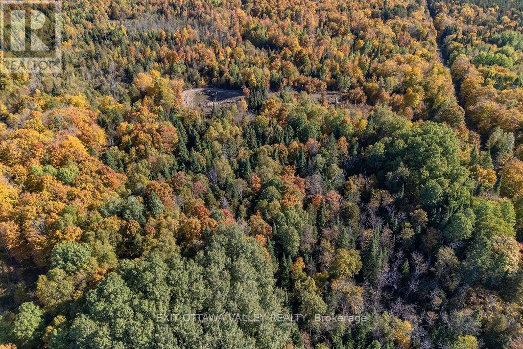 1000 Rosien Road, Bonnechere Valley, Ontario  K0J 1T0 - Photo 26 - X12437696