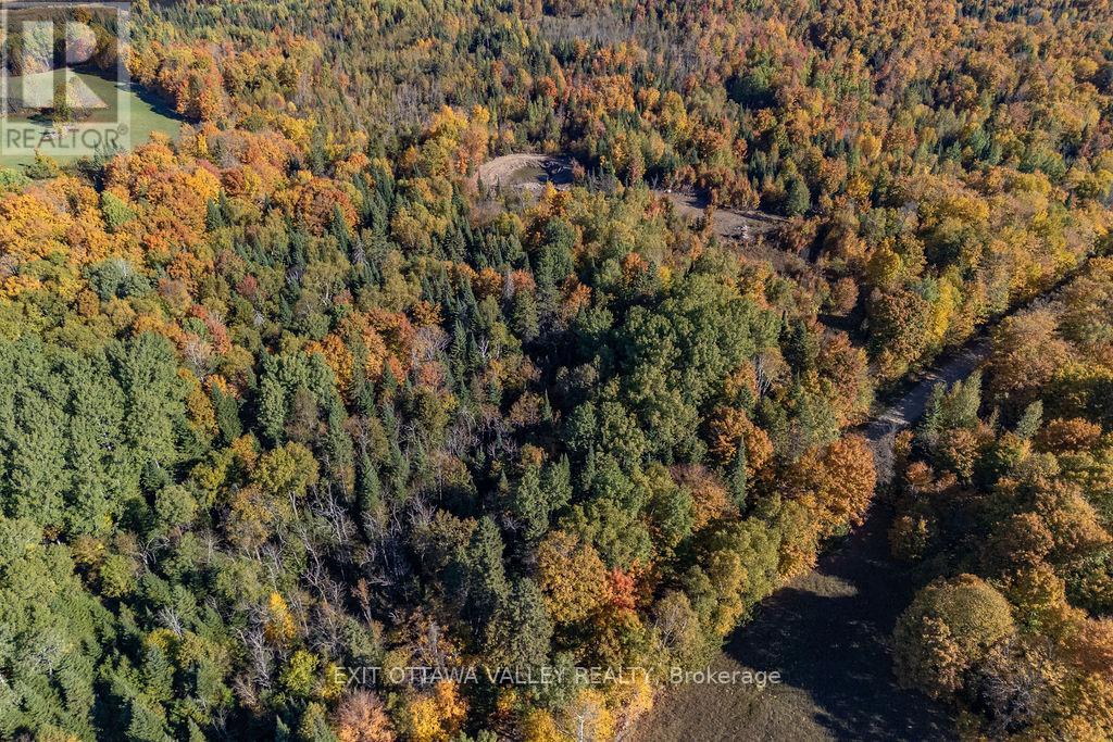 1000 Rosien Road, Bonnechere Valley, Ontario  K0J 1T0 - Photo 27 - X12437696