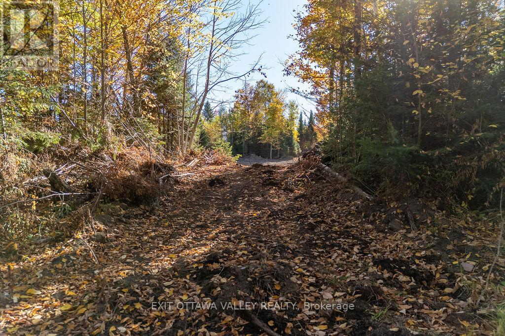 1000 Rosien Road, Bonnechere Valley, Ontario  K0J 1T0 - Photo 3 - X12437696