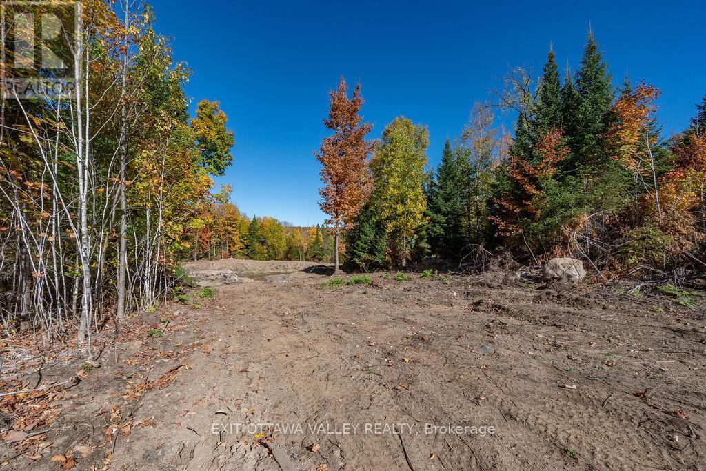 1000 Rosien Road, Bonnechere Valley, Ontario  K0J 1T0 - Photo 5 - X12437696