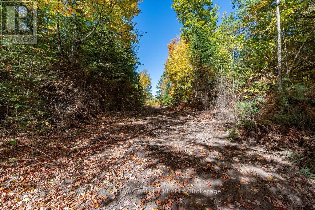 1000 Rosien Road, Bonnechere Valley, Ontario  K0J 1T0 - Photo 8 - X12437696