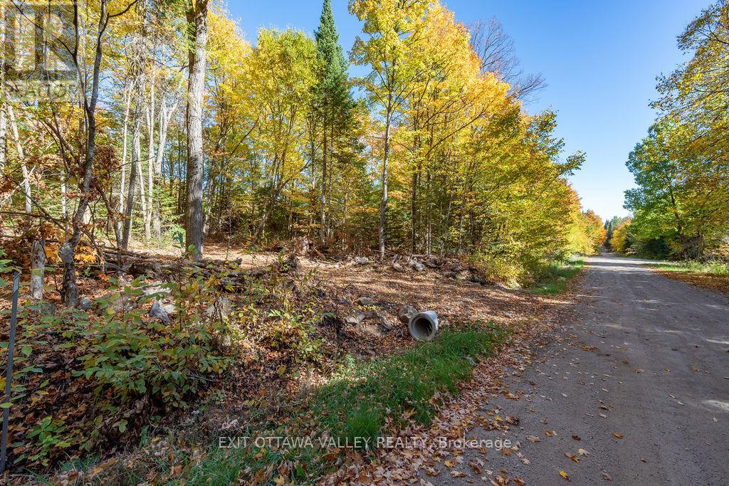 1000 Rosien Road, Bonnechere Valley, Ontario  K0J 1T0 - Photo 9 - X12437696