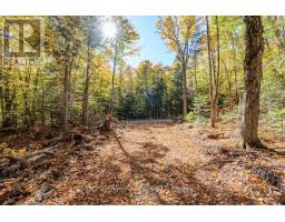 1000 Rosien Road, Bonnechere Valley, Ca