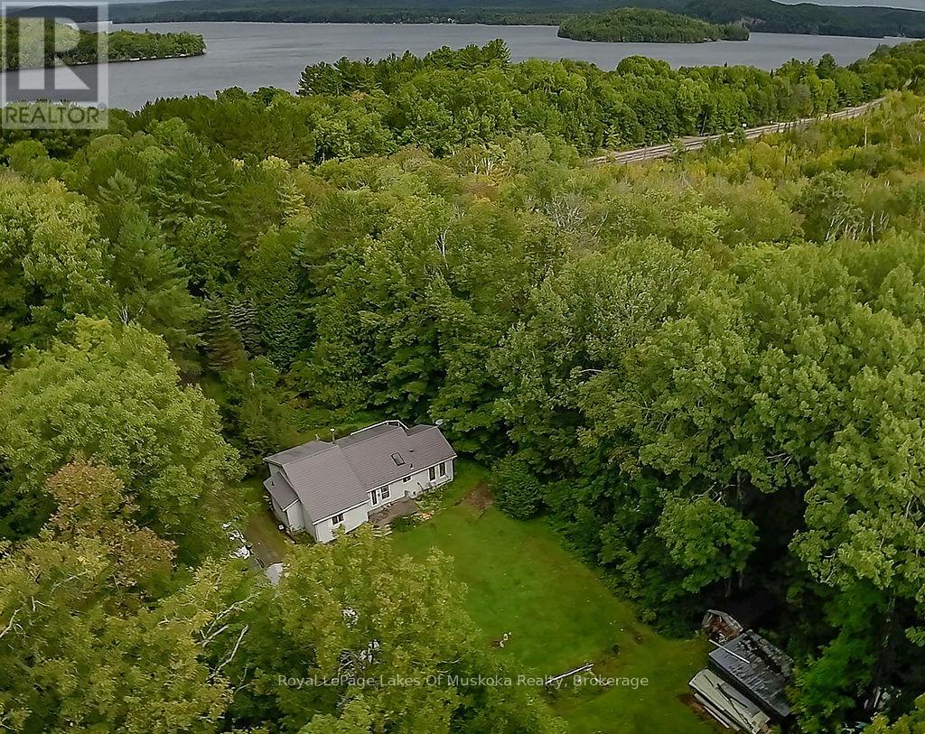 4244 Muskoka Road 117, Lake Of Bays, Ontario  P0B 1A0 - Photo 2 - X12414876